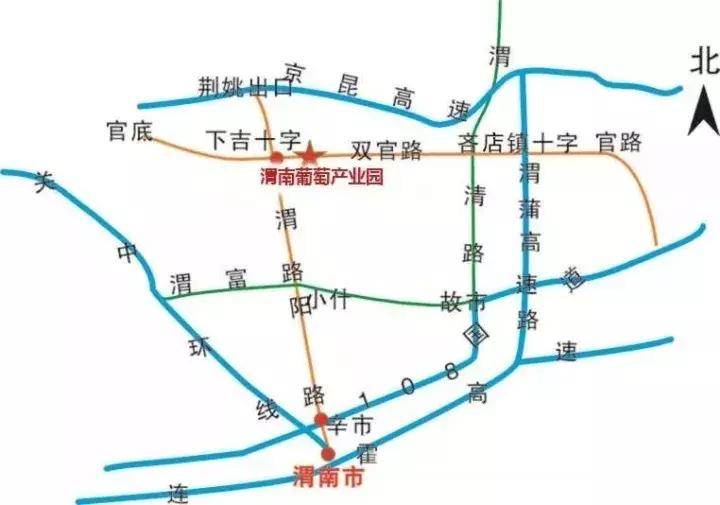 渭南葡萄产业园2020年项目,渭南下邽镇葡萄产业园活动