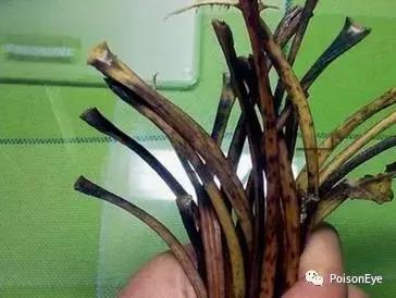 传承中华北京布鞋文化,传承老北京布鞋