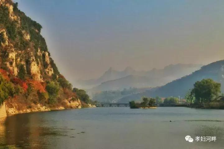 博山区银杏树,博山源泉淄博二中