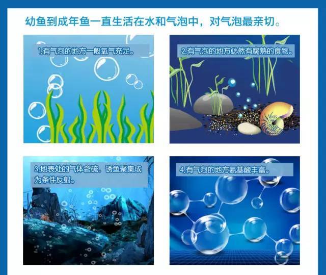 史上最强的钓鱼黑科技装备,美国钓鱼诱鱼工具