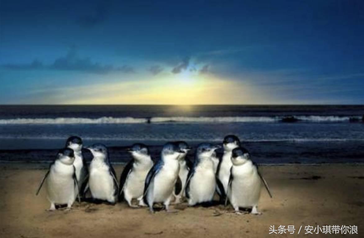 墨尔本四天三晚怎样玩,慢游全世界墨尔本