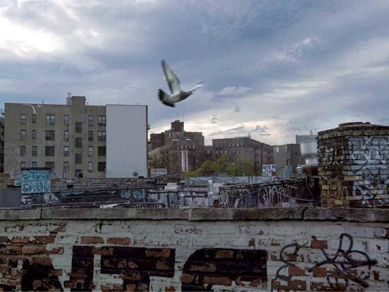 《纽约时报》评出玩转全球的热门景点！