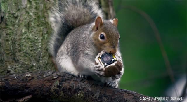 这34个间谍，每天只干一件事：*窥偷**！还拍成电影全球上映？