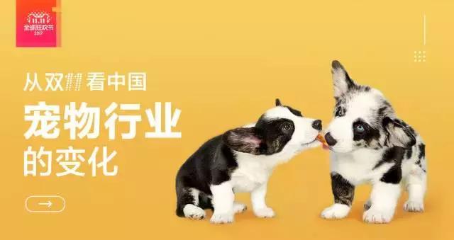 首家日销过亿的宠物公司！波奇网做对了什么？