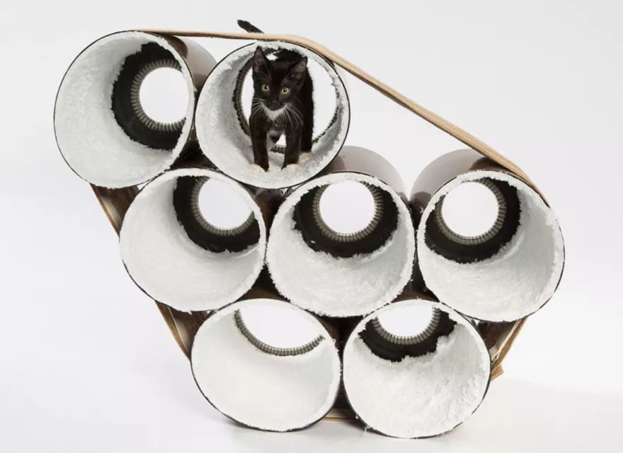 大爱！为这些百变多样的猫屋打call