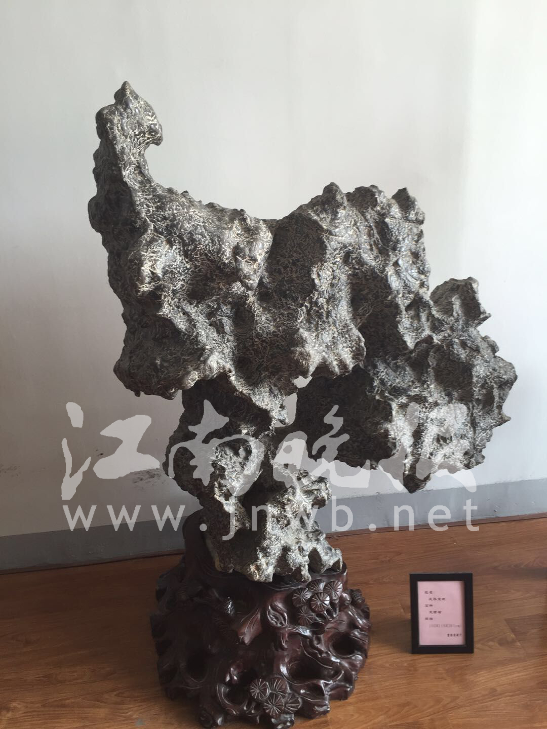 61岁无锡收藏家老伯拥有奇石上万尊，想办个奇石博物馆供大家欣赏