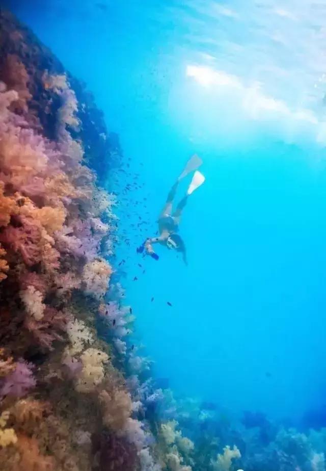 帕劳旅游攻略详解,帕劳旅游攻略六天