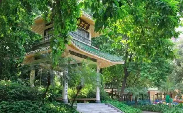 别再跟我说“母鸡”去哪玩！广州48个一日游免费景点推荐！