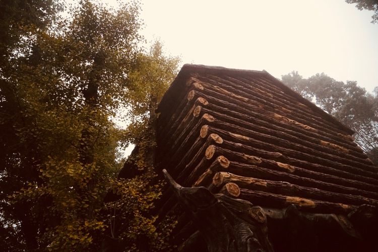 温州的春天有哪些特点,温州春夏秋冬