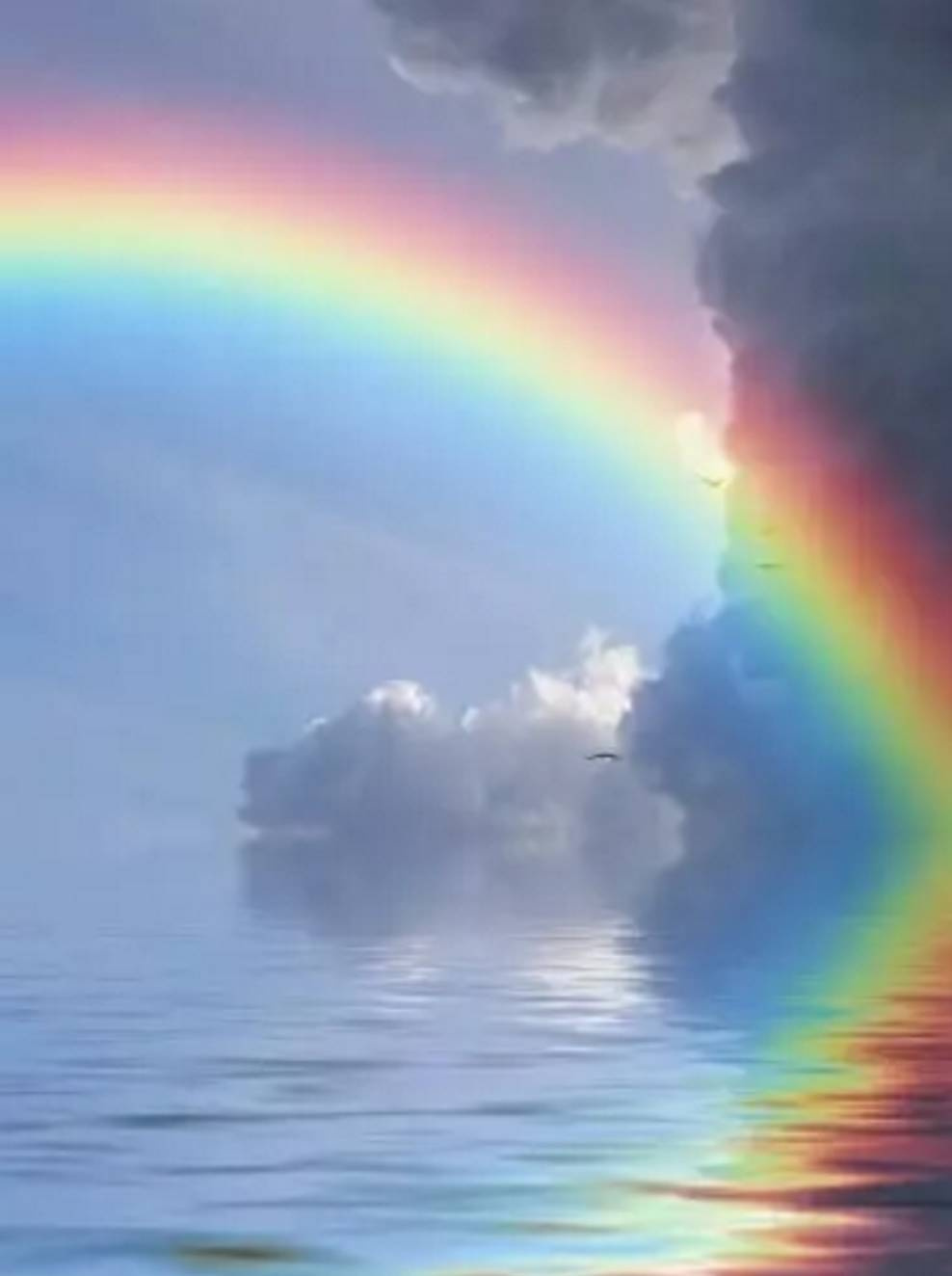 一边不想活了，一边努力活着，你是否也这样