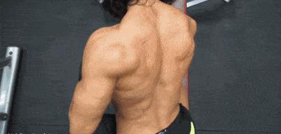 7个动作重复420次，蝙蝠背比麒麟臂酷得多！