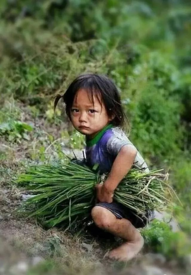 一边不想活了，一边努力活着，你是否也这样