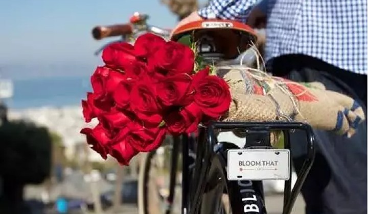 有颜值、有明星、还有600亿市场的鲜花电商,并不是看起来很美?