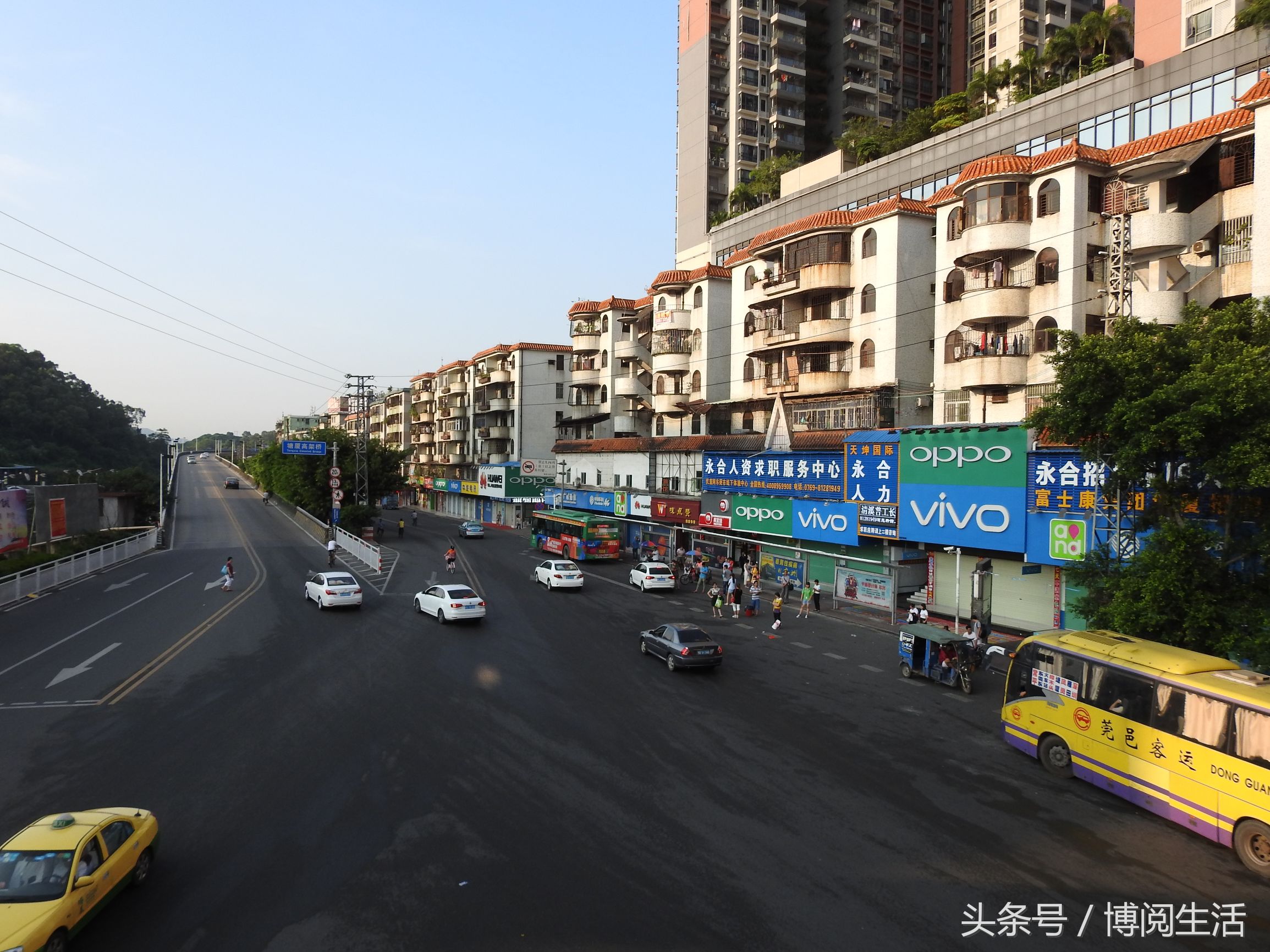 东莞塘厦十大好玩免费景点,东莞塘厦附近的旅游景点推荐