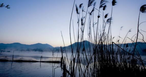 兴隆湖中交悦湖是人才房吗,兴隆湖中交悦湖开发商