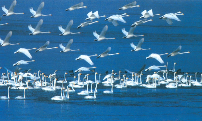 京沪高铁沿线主要站点及城市规模,京沪第二通道江苏段