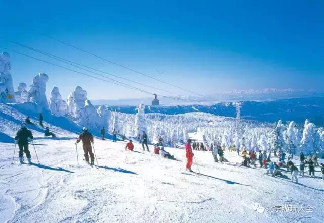 太详细了！冬季到了，还怕没地儿去滑雪？这条微信值得收藏！