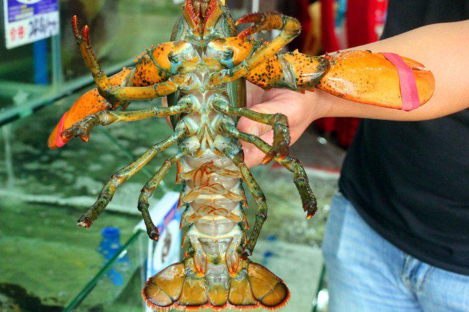 带父母去三亚游玩攻略,爸妈三亚旅游攻略