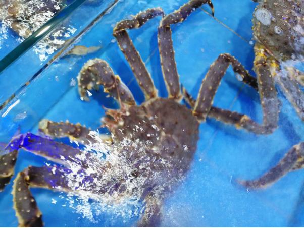 带父母去三亚游玩攻略,爸妈三亚旅游攻略