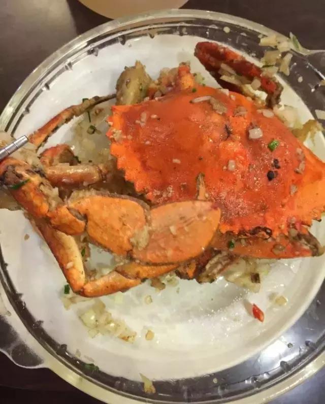 帕劳归来不看海视频,帕劳归来不看海