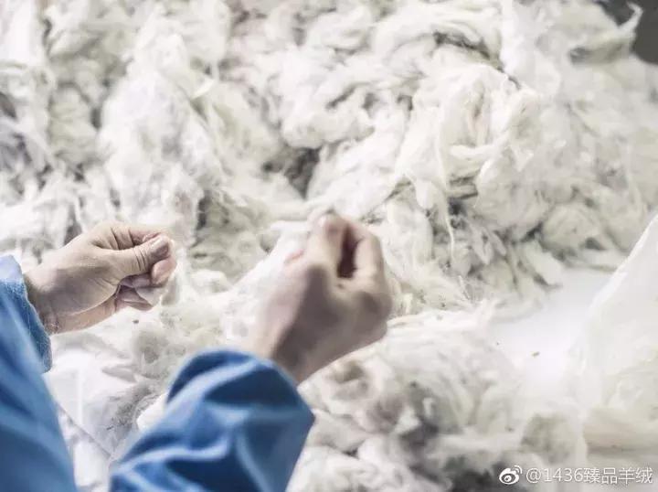 英国公主大衣,英国公主穿搭大衣