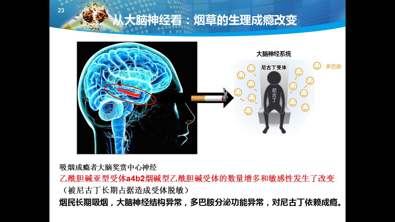 医者仁心吸烟有害健康,吸烟的致病率
