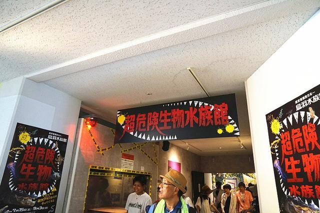 日本关西夏日赏——今夕传媒旅行家出品