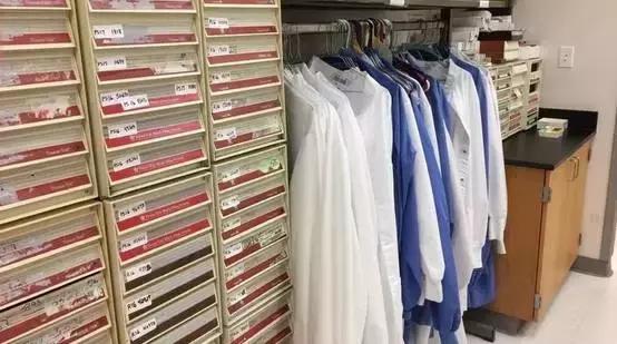 美国医师培养周期,美国医生的培养机制介绍