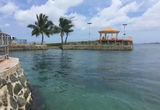 帕劳归来不看海视频,帕劳归来不看海