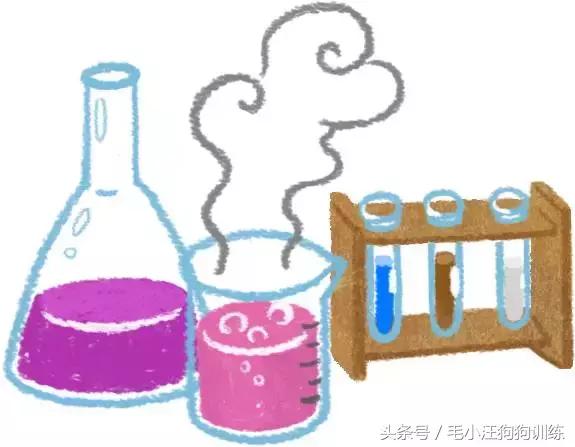 毛小汪训犬课堂,狗狗泪痕重是什么原因引起的