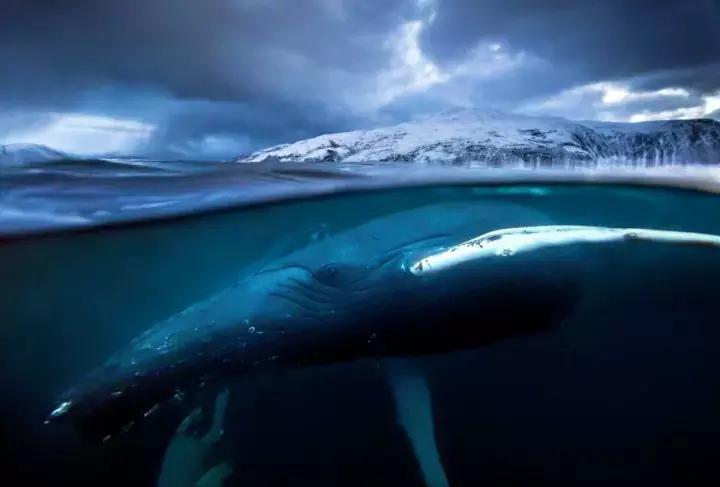 外媒评出的这几部最新大片和好剧,简直是过冬必备