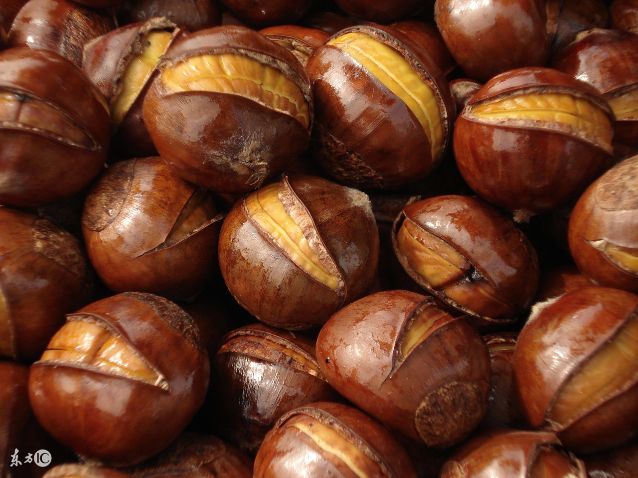 秋天的糖炒栗子最好吃,有了秋天的味道软糯的炒栗子