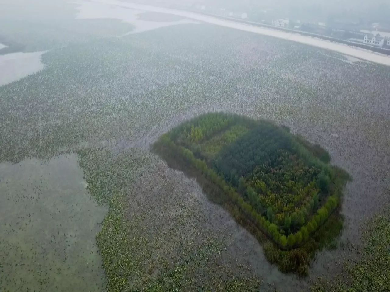抓螃蟹的方法您知道几种,抓螃蟹的方法儿童
