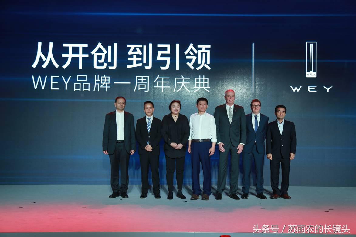 wey新能源市场,wey入门豪华suv