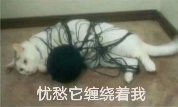 培训机构老师被抓,培训机构老师被教育局抓到