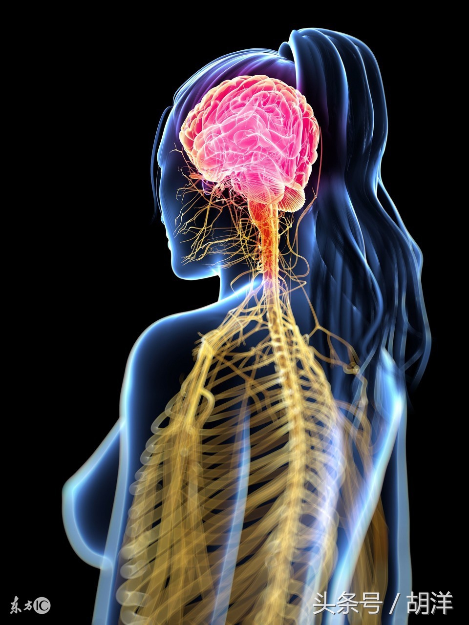 肺癌转移到骨头的病人后期会怎样,肺癌会影响面部神经吗