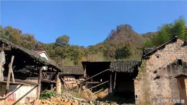 美醉了！了不起的金寨