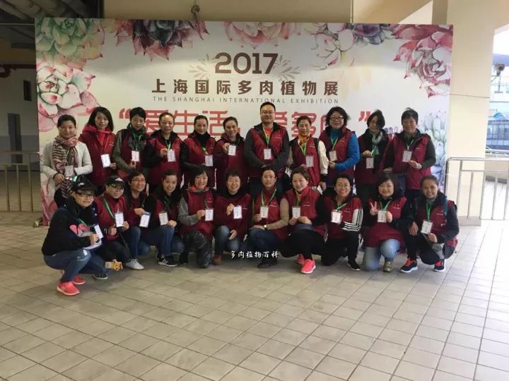 公认最美4种多肉植物图片,2014年上海多肉植物展图片