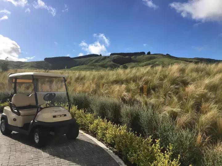 他们有钱,会玩,没有中产焦虑