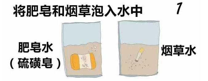 恐怖的吸血怪兽,可怕的吸血怪兽