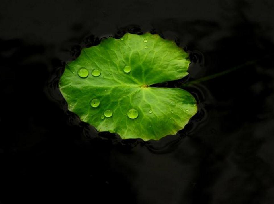 避免在沟里翻船,避免翻船攻略