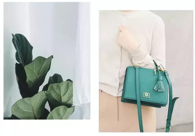 鏀惰棌杩囩殑鍖呭寘,鏀惰棌杩欏嚑涓簵閾轰笉鐢ㄦ剚绌挎惌