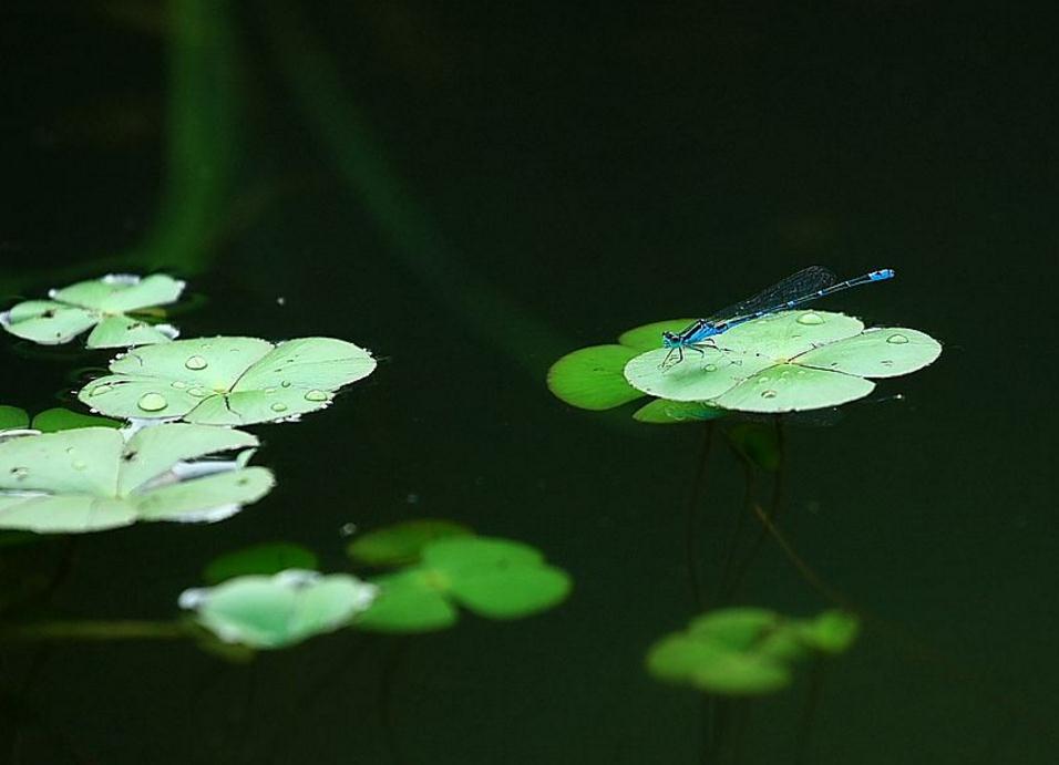 做人一定要提防小人,做人要小心谨慎