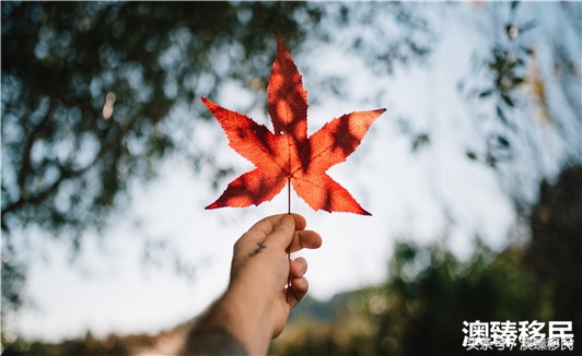 加拿大移民好吗，从三方面揭开移民的真实生活！
