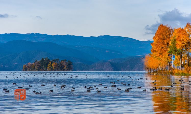 泸沽湖洗涤心灵的纯净之地,泸沽湖迷人的倒影