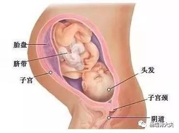 怀孕一般要做几次B超？最重要的是哪次？各种超声检查有何区别？