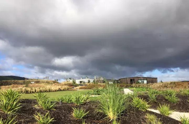 他们有钱,会玩,没有中产焦虑