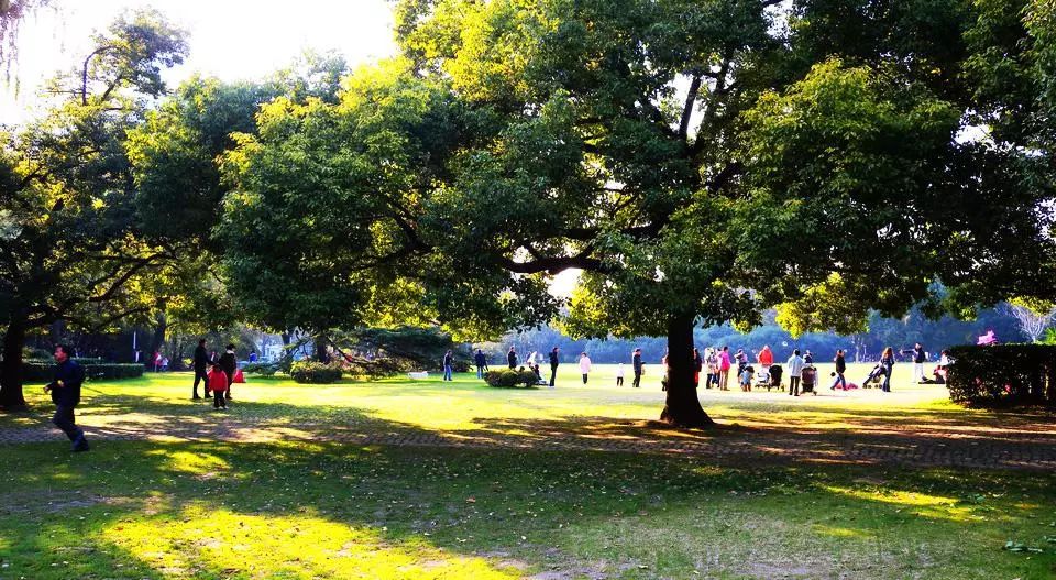 上海各个景点及路线图,上海周边公交车地铁可以到的景点