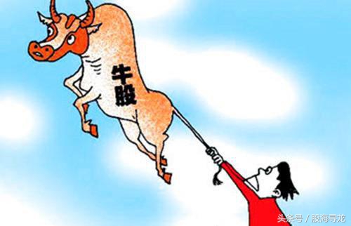 股票中真正的高手是怎样抓牛股的,抓龙头股票技巧和方法是什么