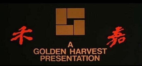 原来，录像厅才是见证香港电影最辉煌的时刻